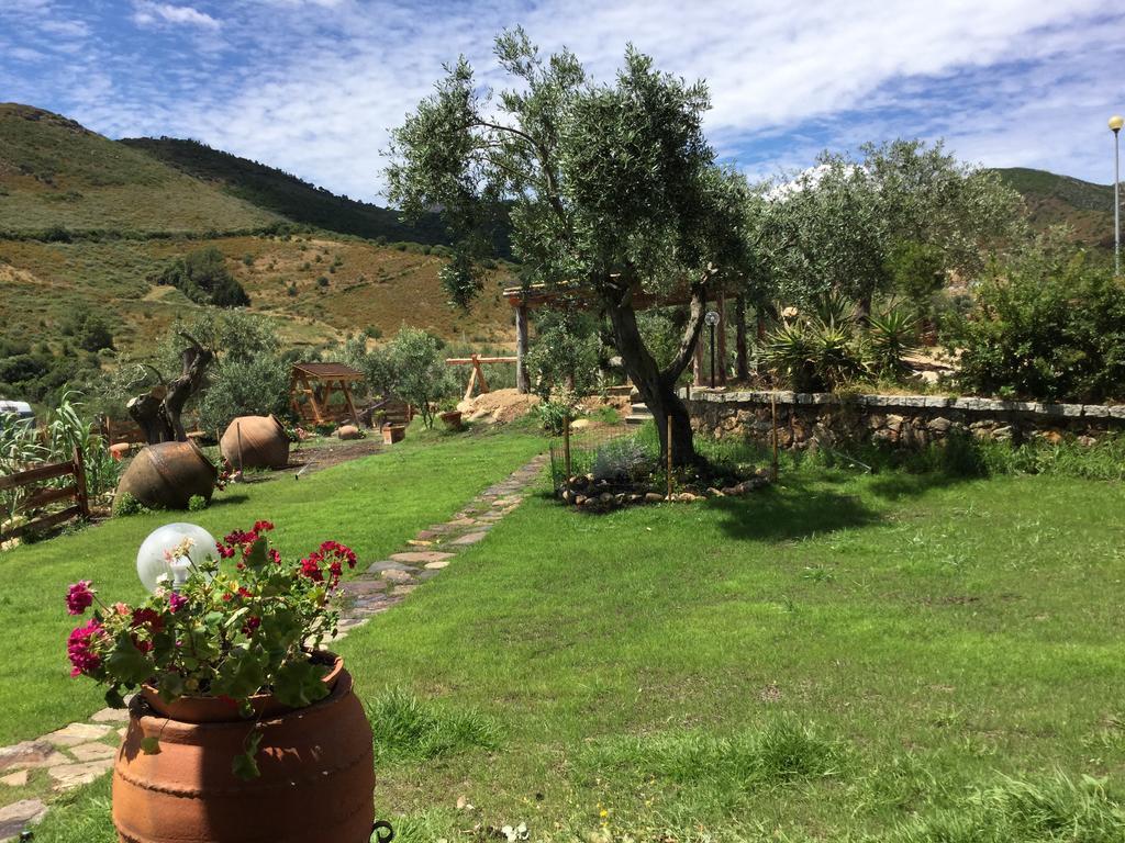 Il Giardino Di Daniela Bed and Breakfast San Teodoro  Eksteriør billede
