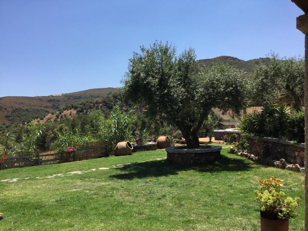 Il Giardino Di Daniela Bed and Breakfast San Teodoro  Eksteriør billede